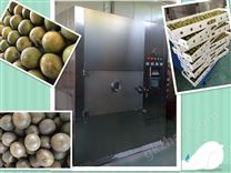 羅漢果微波真空干燥設(shè)備