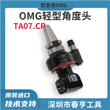 OMG 轻型角度头TA07.CP数控加工侧铣头